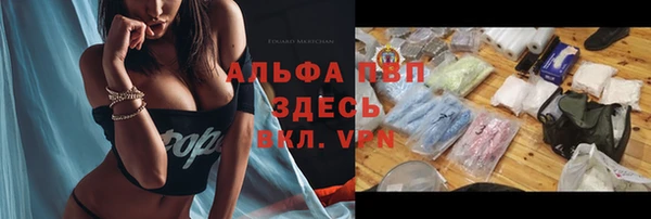 индика Слюдянка