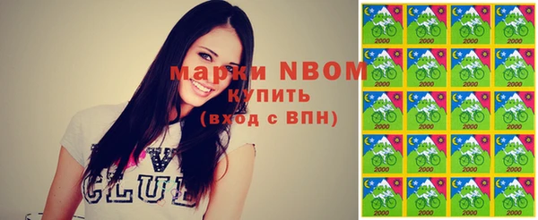 индика Слюдянка
